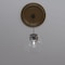 Ekena Millwork PVC Medallion (Canopies up to 13 1/2"), 22"OD x 3 1/2"ID x 1 1/2"P, Metallic Champagne Bronze CMP22TRCCB - alternate 10